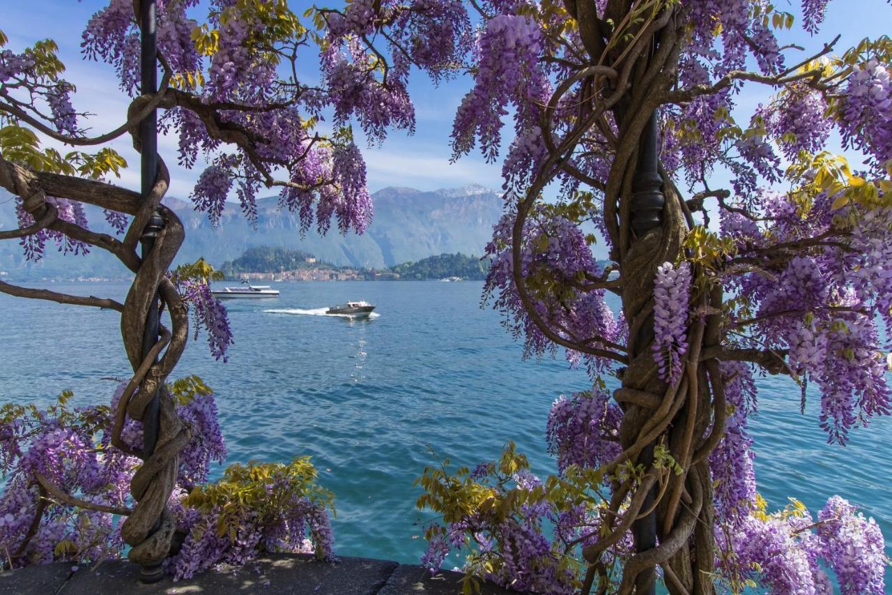 Belmonte Terrazzo Apartment Pianello Del Lario Bagian luar foto